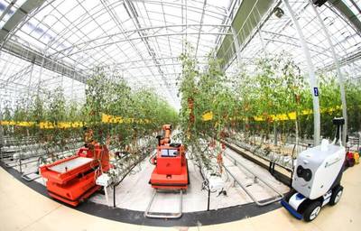 點(diǎn)點(diǎn)手機(jī)就能管理大棚，濰坊壽光以數(shù)字化賦能蔬菜產(chǎn)業(yè)升級(jí)