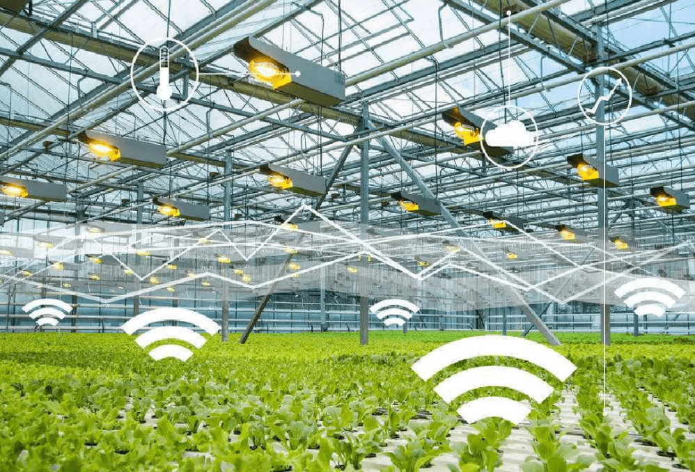 物聯(lián)網(wǎng)時(shí)代下，物聯(lián)卡在智慧農(nóng)業(yè)中的應(yīng)用場(chǎng)景與特性解析